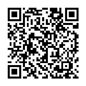 也要求使用出了自己的忍术将前边的树木一个又一个的击倒二维码生成