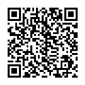 也让他们真正体会到了叶秋的实力已经恐怖到了什么地步二维码生成