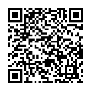 也许……陆为民发现自己现在总是喜欢拿甄妮和苏燕青相比二维码生成