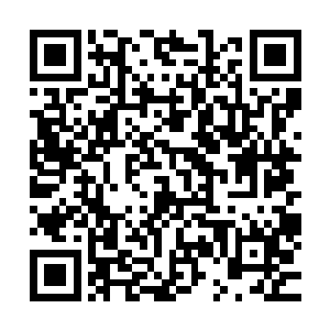 也许七戒大师已经轮换到了另一颗星球上照顾你儿子也不一定二维码生成