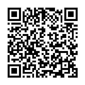 也许世上便再无南方至尊而多了一位名副其实的毒中至尊二维码生成