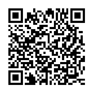 也许他们现在正在做的就是他们最大的要求――彻底打击美国二维码生成