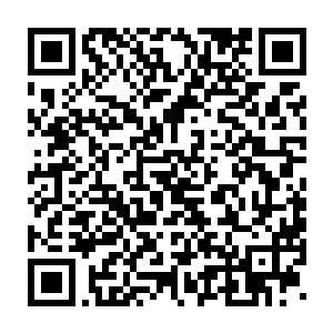 也许他们认为这个娇弱而貌比天仙的女人不会给军火库造成任何威胁二维码生成