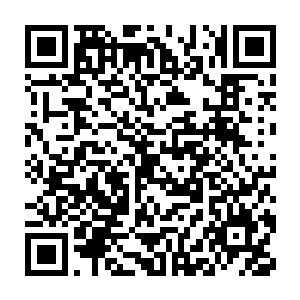 也许你表现好会被那个职业战队的经理看上了去拉你进真正的职业战队二维码生成
