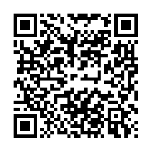 也许大将军和大护法能用最快的时间制服衡远星域的两位界主二维码生成
