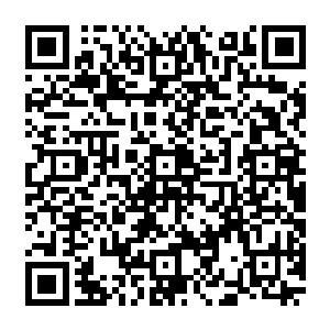 也许将來的有朝一日他能够与之再次相遇那么当下一次重新相遇之时又会是怎样的景观二维码生成