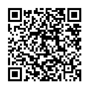 也许我们就再无和他们站在一条起跑线上甚至超越一步的机会了二维码生成