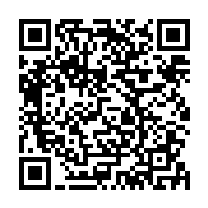 也许所有人都以为他是慌不择路的冲撞开了走廊玻璃木门二维码生成