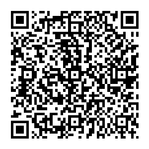 也许接下来栖霞界都不用头疼什么鸿蒙大劫的事了――他们将成为星落大千界最快度过鸿蒙大劫的人二维码生成