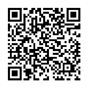 也许是从造化老人那里得到了什么十万年前流传下来的宝物二维码生成