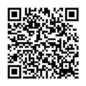 也许是他的不屈以及不服输再次激活了围着他心脏的赢勾精血二维码生成