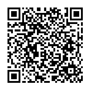 也许是因为池宇害怕木萦单灵根的身份曝光后会被其他峰主给抢着收为弟子二维码生成