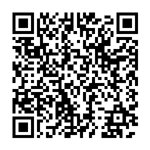 也许是在内心种下一颗希望的种子……社会不会因为一个人而改变二维码生成
