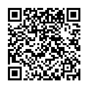 也许是觉得张铁他们再过两周所有人就要永远离开学校的缘故二维码生成