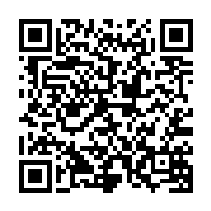 也许有一天你真的能琢磨出一条完全属于你自己的大路也说不准二维码生成