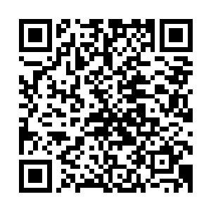 也许有一天我们中确实会出现以机械形式存在我们中间的同胞二维码生成