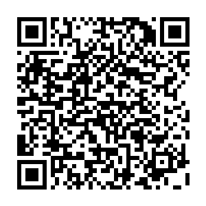 也许有那么几家公司能在几百名开外的剧本里找到几本还算有潜力的作品二维码生成