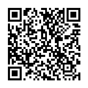 也许米尔斯和沙摩塞的设定就会发生一定程度的偏差二维码生成