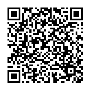 也许能欣赏的人不是那么的多――甚至连导演自己都没有把握的电影二维码生成