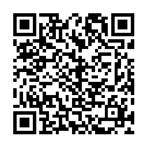 也许莉娜也在默默之中关注着他……但事实却是如此残忍二维码生成