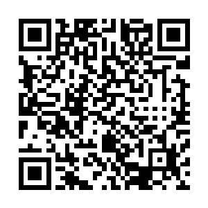 也许车体颠簸导致他们射击的枪弹绝大多数都不能命中目标二维码生成