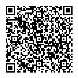 也许这几间公司想要确保珍妮弗在几年内再也拿不到奥斯卡――娜塔莉已经为了冲奥做了几年的准备二维码生成