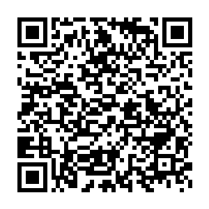 也许这接下来的画面会让他看到这石门之内到底隐藏着什么样的存在二维码生成
