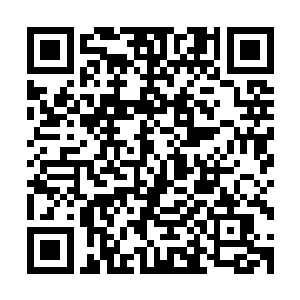 也趁机用精确的射击清理掉还在负隅顽抗的简加韦得武装分子二维码生成