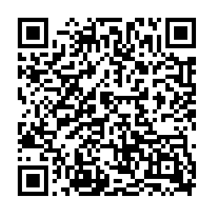 也还是不好意思跟墨小宝在这种地方谈论类似于和亲或者是联姻的问题的二维码生成