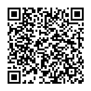 也还是这样熬过来了……这边是一个传承数千年的古老宗门的坚持二维码生成