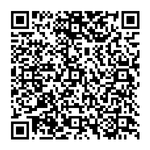 也随之把先前十五处阵眼负责守卫的噬血妖藤灭杀的妖兽和修士的收藏全都一次性的收拢了回来二维码生成