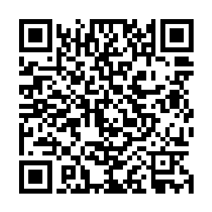 也难怪东皇血肉一副憎恶痛恨难以掩饰的同归于尽模样……二维码生成