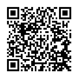 也难怪整个丹布雷斯王国只有王都这里才有一座法师公会……二维码生成