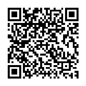 也难怪要置这群人于死地的白主会在动容之下放这些人一条生路二维码生成