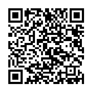 也顺理成章的握住了耶律骨欲那双修长却不是饱满的柔荑二维码生成