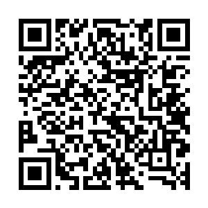 习惯了城市里生活的家伙们有几个愿意长期呆在深山老林里的二维码生成