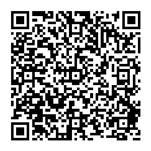 了一声从怀中摸出了一张符咒轻轻的放在了棺材里面接着陈景皓走到棺材边上口中轻轻的念着咒语二维码生成
