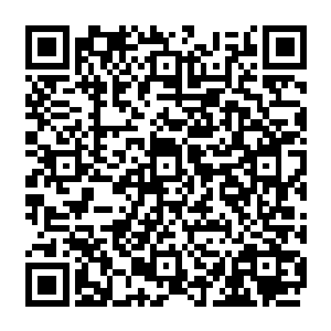 了不得了不得了啊我总算知道为什么胜利一家会在短短时间内日子一下变得辉煌腾达了二维码生成