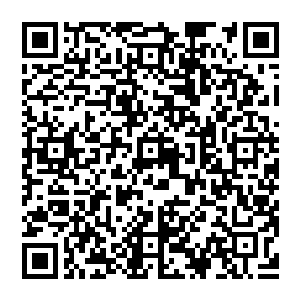 事到如今 唯有打破九的极限 改变功法 诞生第九头犼尊 想必才能进行融合 可是 第十头犼尊真的存在吗 二维码生成