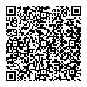 事到如今 麦基已经知道肯定是赵纯良看穿了他们的局 不然也不至于这一路过來这么谨慎 又是记路又是卫星调查的二维码生成