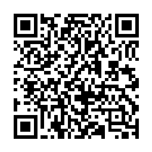 事学院和帝国综合学院两枚公章的录取函交给门口的护卫军官二维码生成
