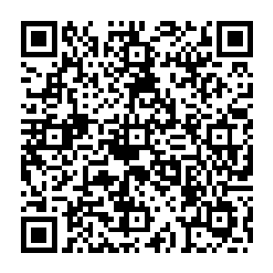 事实上她也清楚自己弟弟这种性格的确很难在官场这个最为现实的沙场中拼出头来二维码生成