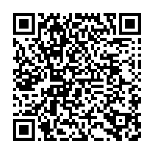 事实上林封谨昨天引入那一发劫雷轰进这山洞的行为确实是十分明智二维码生成