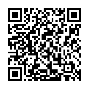 事实上苏青黛之前写的一部小说已经复印了好几份稿子寄出去了二维码生成