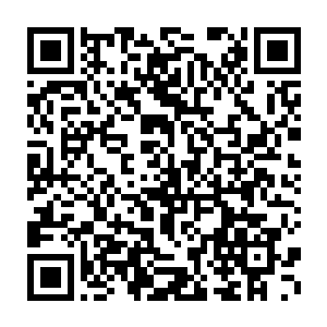 事实证明在该地区发源的大手往往会具有相当丰富的本地人脉资源二维码生成