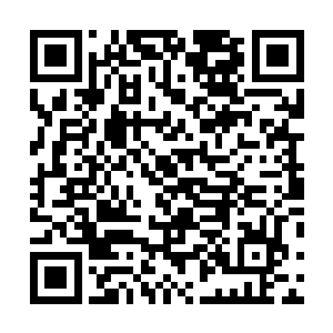 二十二和二十三两名长老都停留在原地没有做出任何行动二维码生成