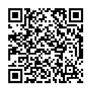 二楼上猩红小队一方和龙耀会一方的人数是完全均衡的二维码生成