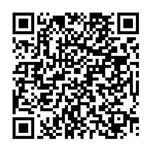 二百多名人类问道修士和一百多名实力堪比寻常问道初期修士的出窍圆满之修二维码生成