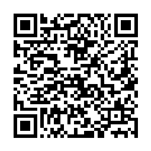 于是他就跑到燕京剪了一个和流川枫一模一样的长碎发二维码生成