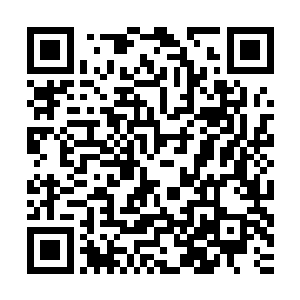 于是便有了这样是三个小弟了……而丁楚楚对他们的要求很简单二维码生成